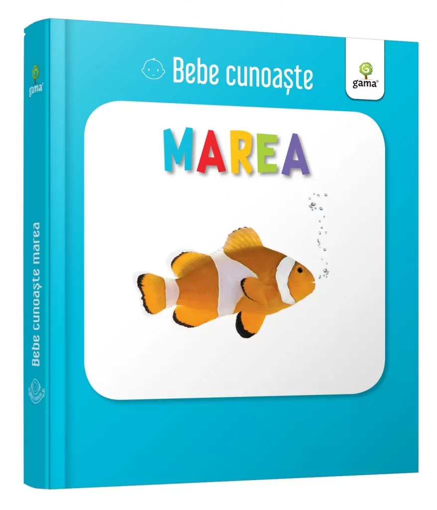 Bebe cunoaste - Marea