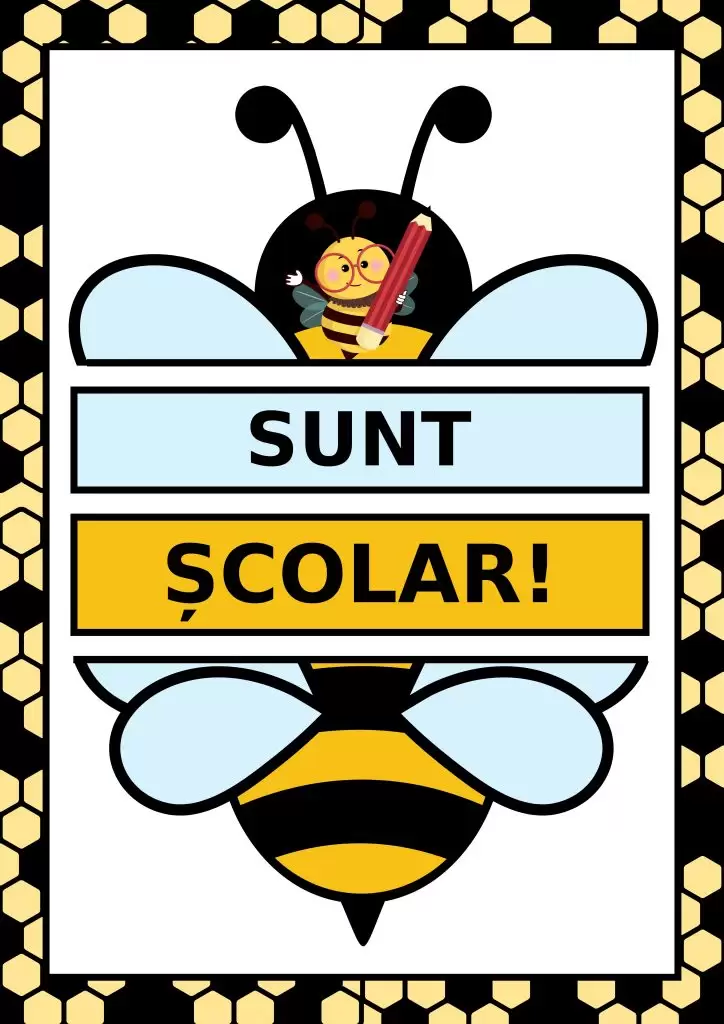Sunt școlar, cod:PM054