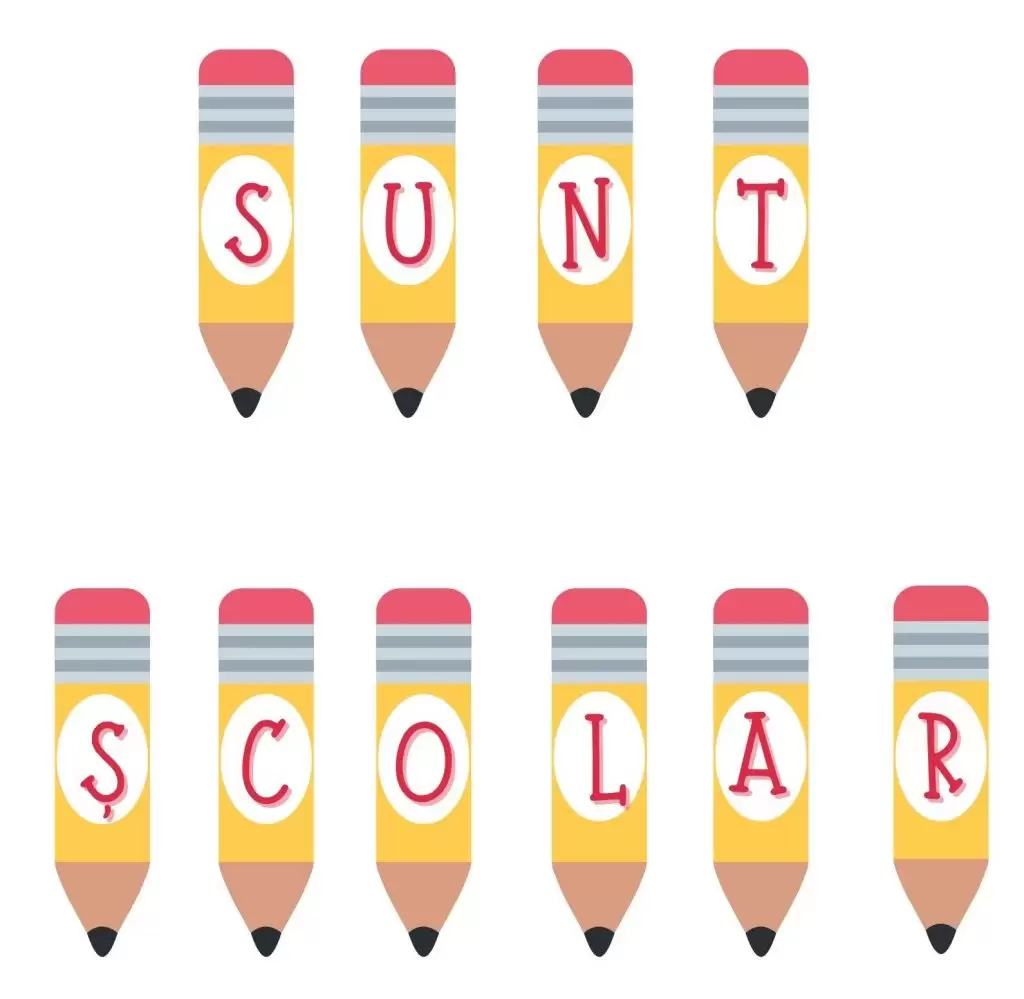Set 10 Planșe care formeaza: Sunt școlar