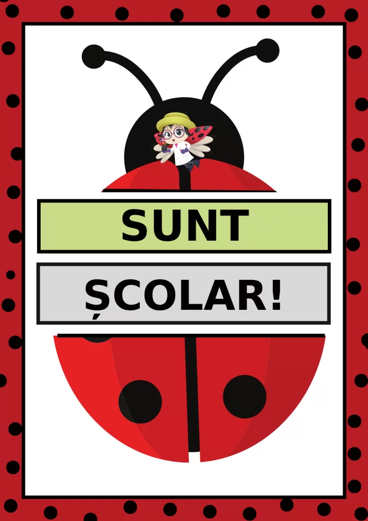 Sunt școlar, cod:PM058