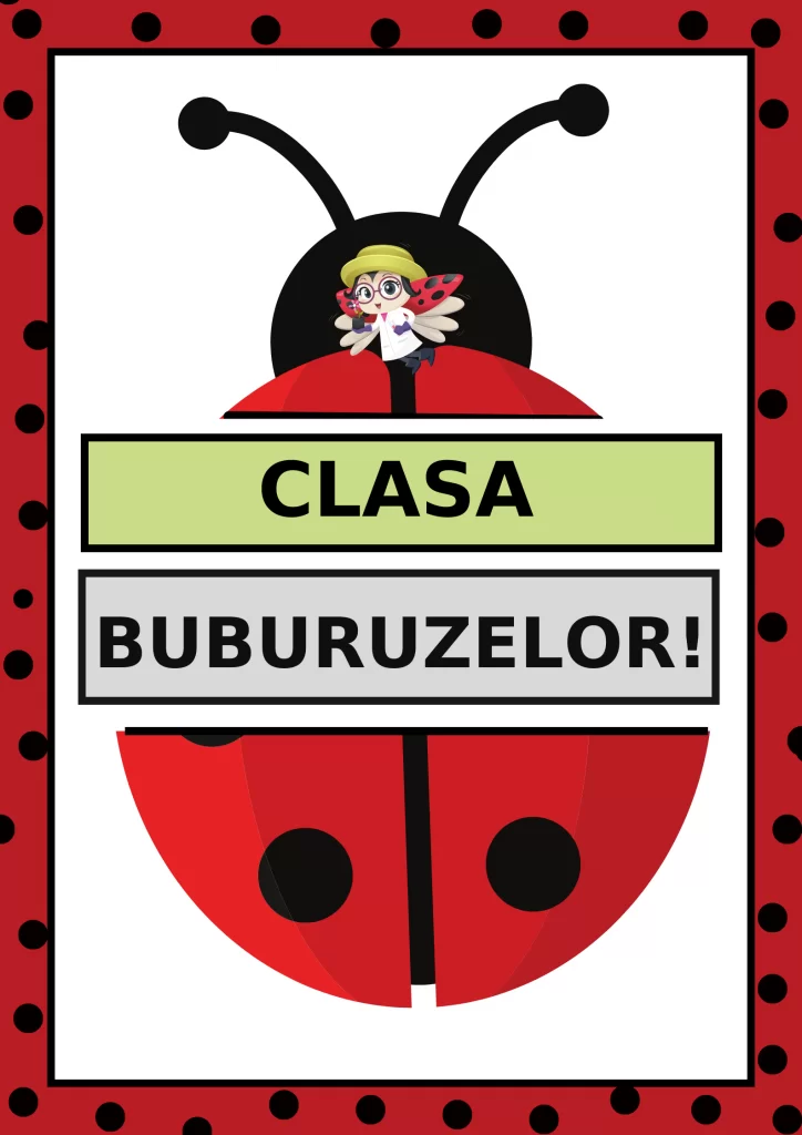 Clasa buburuzelor, cod:PM056