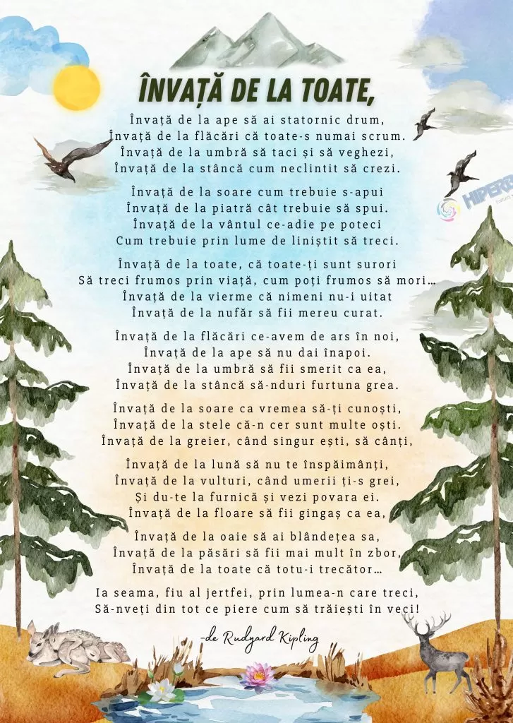 Învață de la toate, cod:PM042